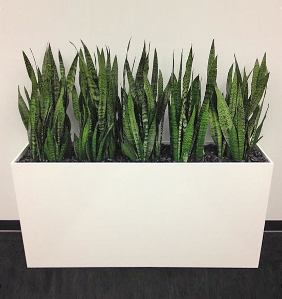 MotherIn Law Custom Planter with Black River Rock Display.