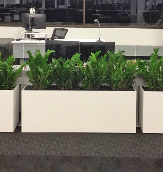 ZZ Plant with Black River Roc Desk Front Custom Planter Display