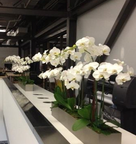 Top Sitter Stainless Steel Finish with Orchids.